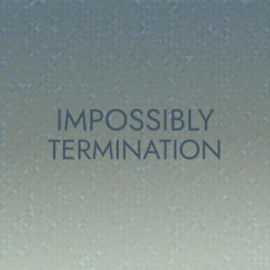 Album Impossibly Termination from Various