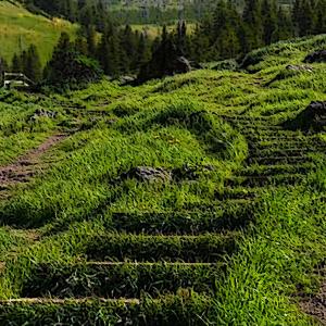 收听pftq的Greener Grass歌词歌曲