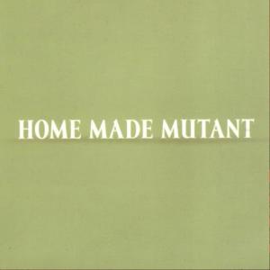 收聽Home Made Mutant的Ženám, čo som stretol歌詞歌曲