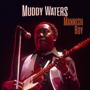 ดาวน์โหลดและฟังเพลง Baby, Please Don't Go พร้อมเนื้อเพลงจาก Muddy Waters