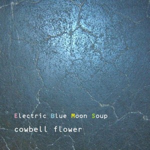 Album Electric Blue Moon Soup oleh cowbell flower