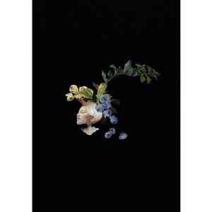 收聽ARAKI Shin的Reborn歌詞歌曲