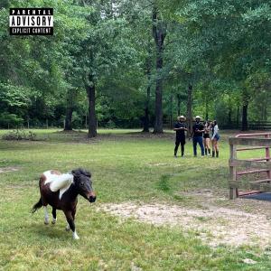 อัลบัม Hood Hero (Explicit) ศิลปิน Kyle the Hooligan