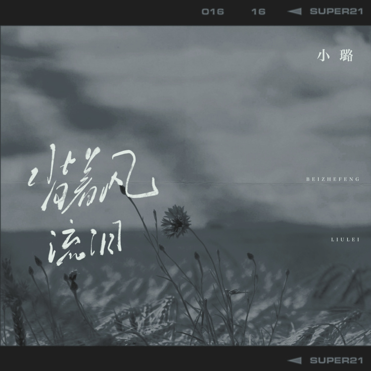 背着风流泪 (和声伴奏)