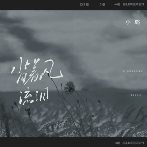 Album 背着风流泪 from 小璐