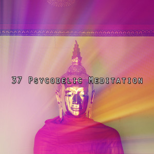 37 Psycodelic Meditation