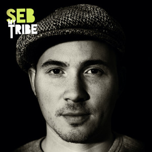 Listen to Leave Me song with lyrics from Seb