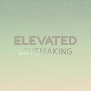 Various Artists的專輯Elevated Lovemaking