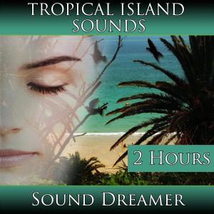 Tropical Island Sounds (2 Hours)