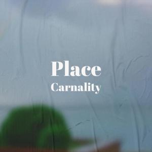 Listen to Place Carnality song with lyrics from Isaie Domo