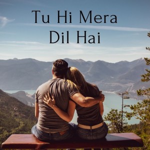 收聽Swastik的Tu Hi Mera Dil Hai歌詞歌曲