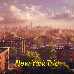 New York Trio的專輯Brooklyn Sky