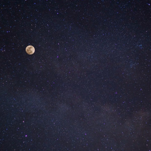 Listen to Sleep Music song with lyrics from Deep Sleep