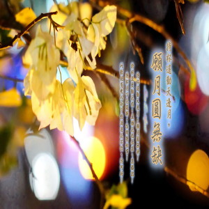 紀華麟的專輯東方冥想音樂系列 (44) : 持杯搖勸天邊月, 願月圓無缺