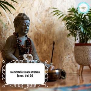 Album Meditation Concentration Tunes, Vol. 06 from 