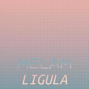 Album Melam Ligula from Various