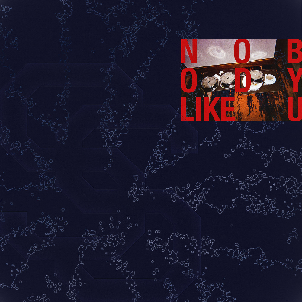 Nobody Like U (Interlude)