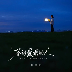 Listen to 不够爱我的人 song with lyrics from 阿美呀