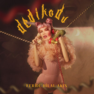 Listen to Dedikodu song with lyrics from Feride Hilal Akın