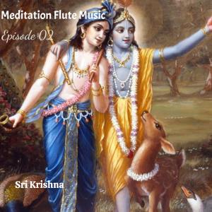 Sri Krishna的专辑Sri Krishna Flute Music | EP 02