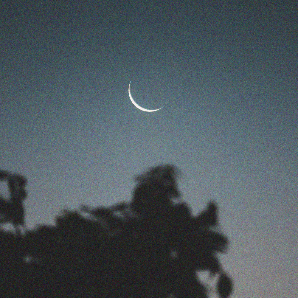 moonlit sky
