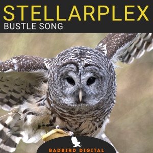 อัลบัม Bustle Song ศิลปิน Stellarplex