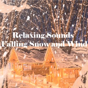 Moon的專輯Relaxing Sounds of Falling Snow and Wind