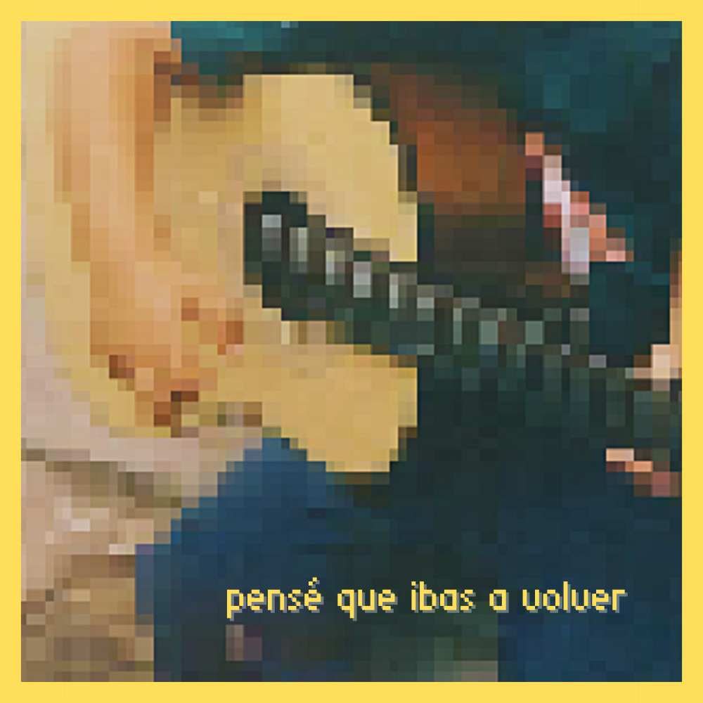 Pense Que Ibas A Volver
