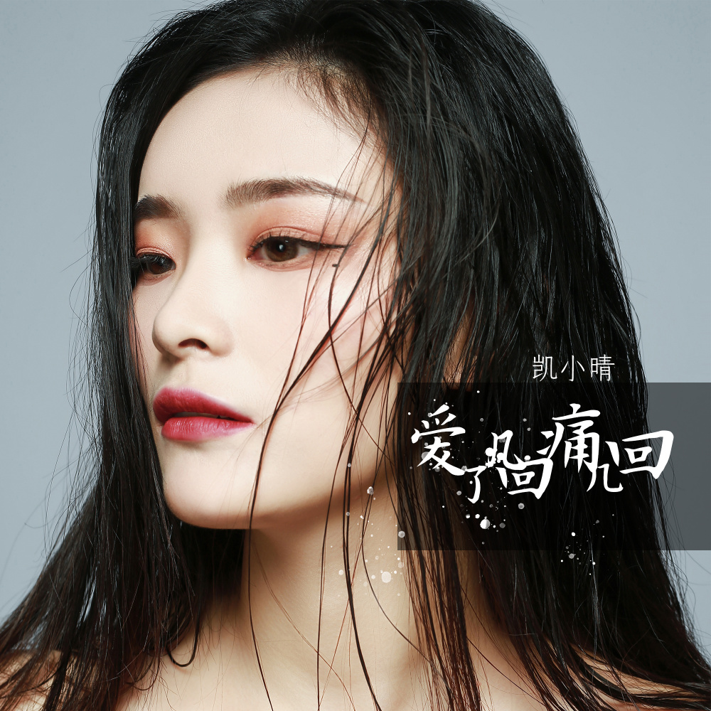 爱了几回痛几回 (DJ可乐版伴奏)