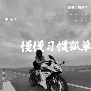 收聽王小亂的慢慢習慣孤單歌詞歌曲