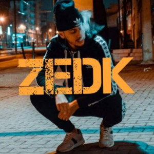 Listen to Noises song with lyrics from Zedk