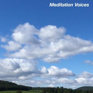 收聽Calm and Content的Therapeutic Music for Sleep(Meditation Voices Part 10: Loopable)歌詞歌曲