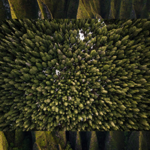 ดาวน์โหลดและฟังเพลง Raise Me Up พร้อมเนื้อเพลงจาก SPA