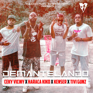 Album Demantelando from Ceky Viciny