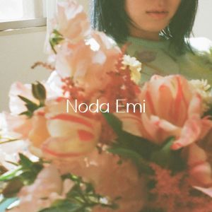 收聽Noda Emi的butterfly effect歌詞歌曲