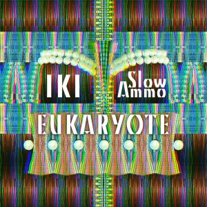 IKI的專輯Eukaryote - Remixed