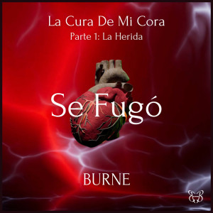 收聽Burne的Se Fugó歌詞歌曲