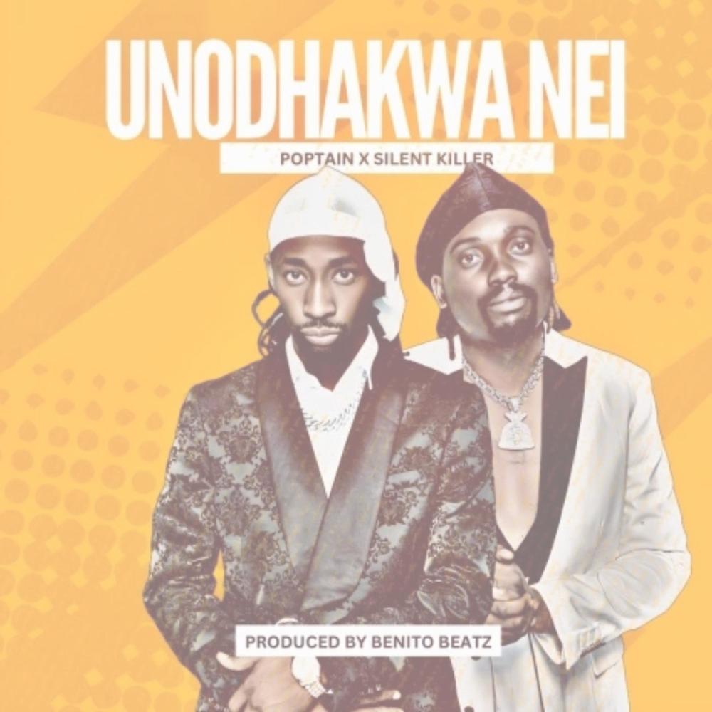 Unodhakwa Nei (feat. Poptain) (Remix)