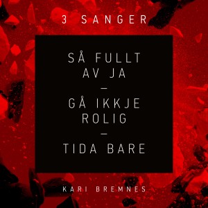 Kari Bremnes的專輯3 sanger