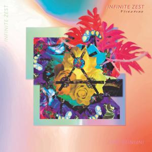 Fjordfunk的專輯Infinite Zest