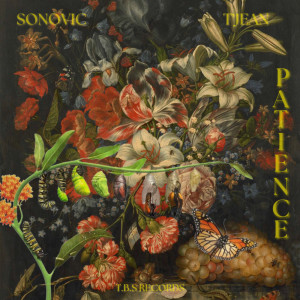 ดาวน์โหลดและฟังเพลง Patience พร้อมเนื้อเพลงจาก Sonovic