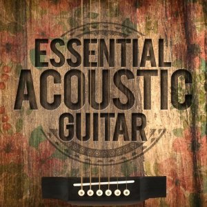 Essential Acoustic Guitar
