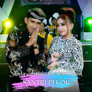 Dengarkan lagu Santri Pekok nyanyian Shinta Arsinta dengan lirik