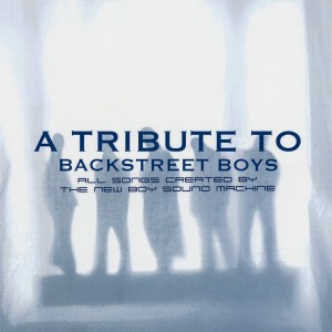 收聽The New Boy Sound Machine的Inconsolable (Instrumental Version)歌詞歌曲