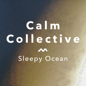 收聽Calm Collective的Sun Dream, Pt. 2歌詞歌曲
