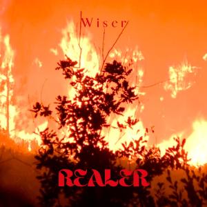 收聽Wiser Observer的Realer (Explicit)歌詞歌曲