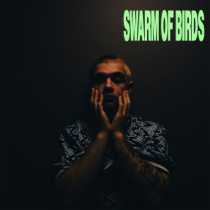 Album Swarm of Birds from Val Fritz