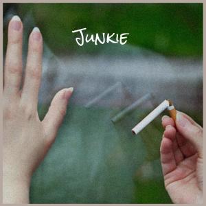 Album Junkie from Various