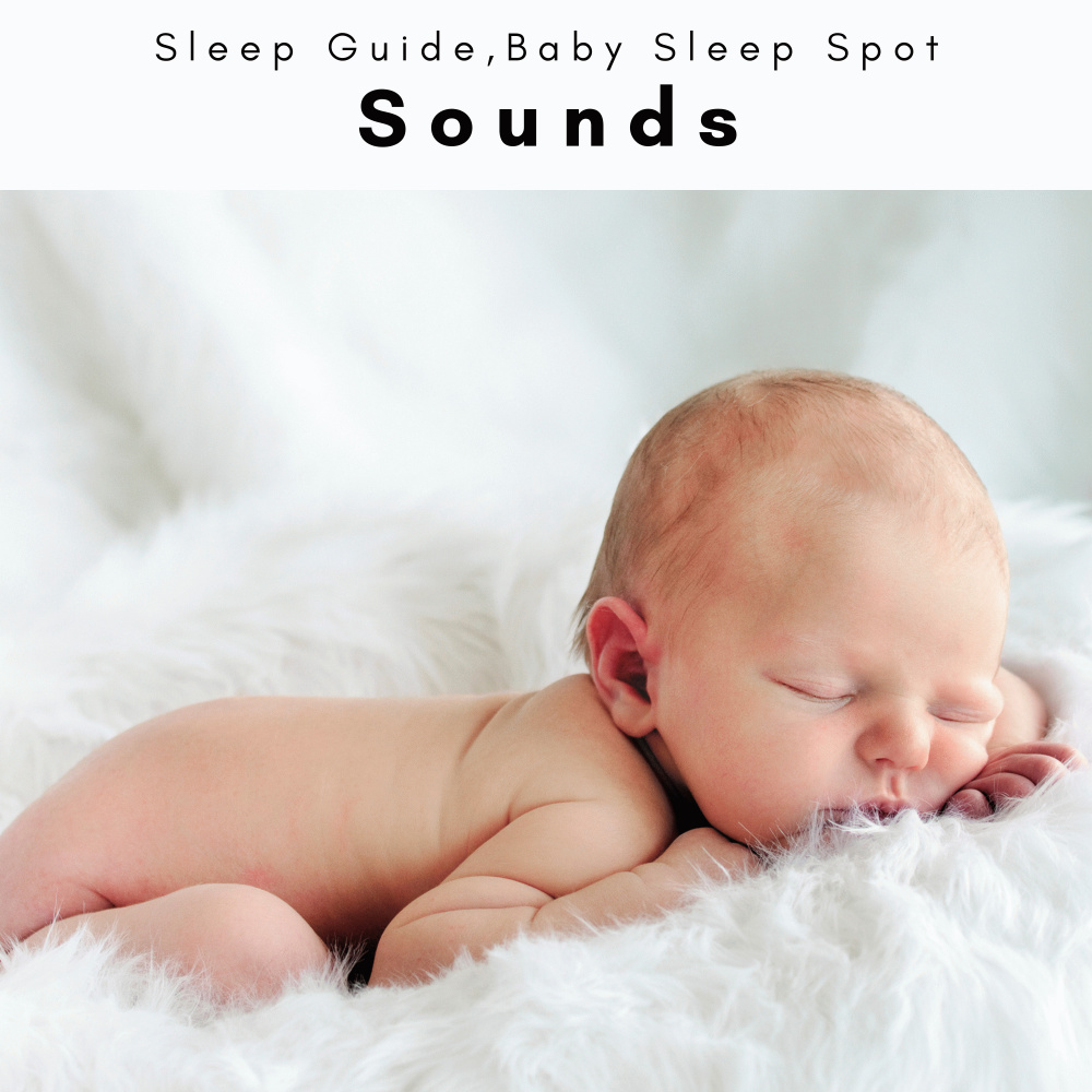 Sleep Master Centre Sounds