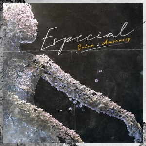 ดาวน์โหลดและฟังเพลง Especial พร้อมเนื้อเพลงจาก Amenazzy